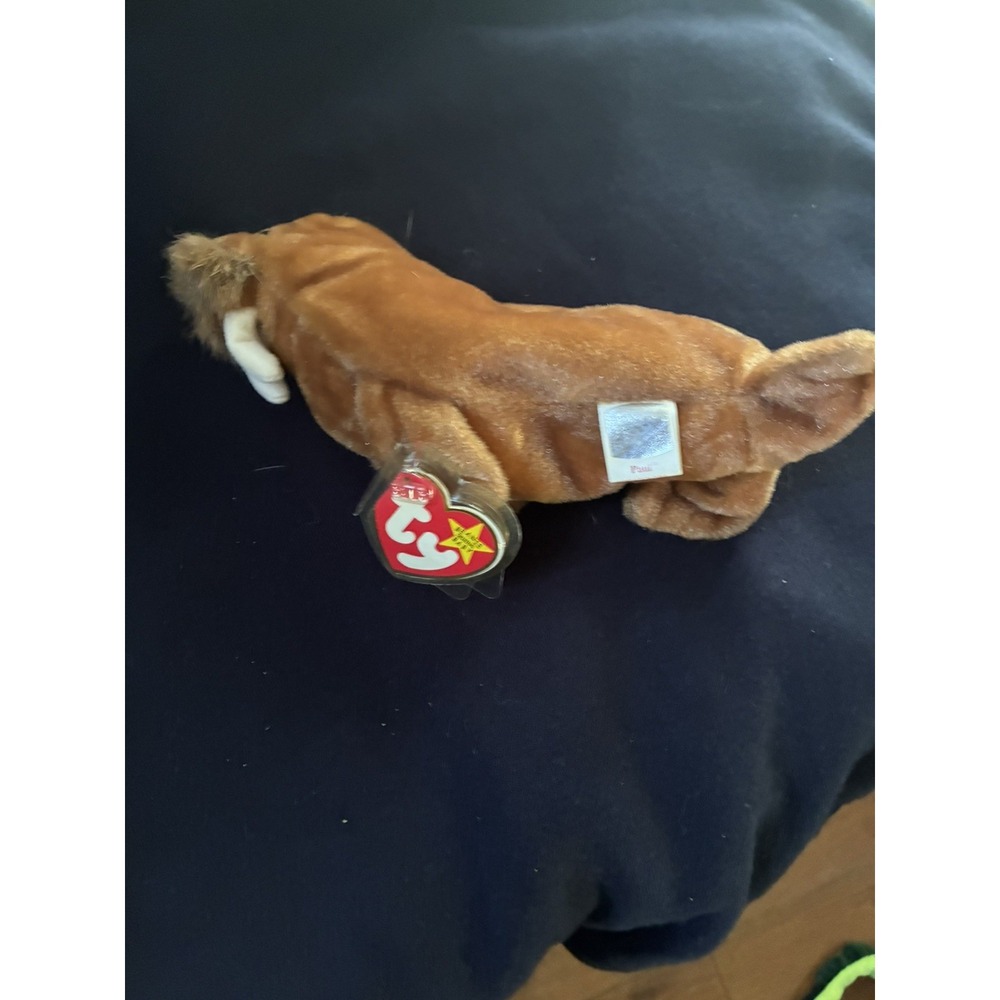 Ty Beanie Baby - TUSK the Walrus (7.5 Inch) NEW MWMTs Plush Stuffed Animal Toy